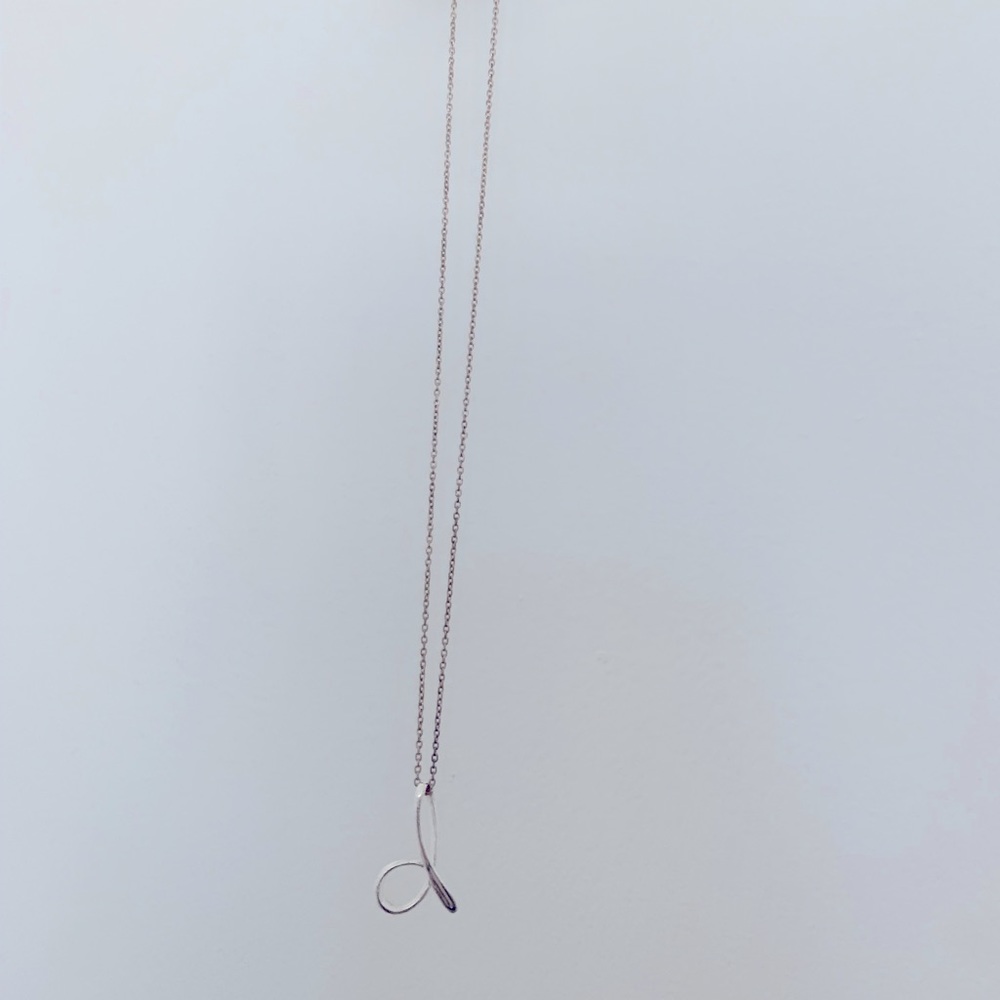 Sterling Silver “d” Necklace